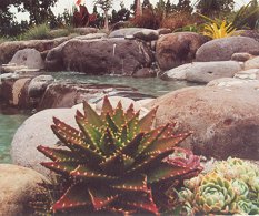 Natural Setting Pools