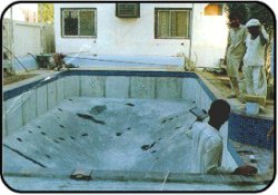 Export Construction in Egypt